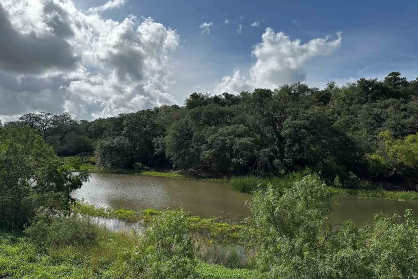 Wilson County | BRP Ranch | S of Elmendorf