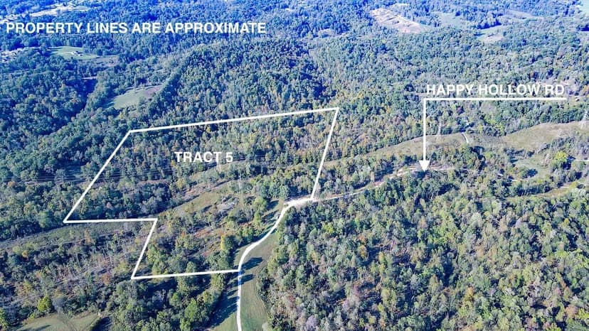 Happy Hollow Rd Tract 5 - 26 acres - Wood County