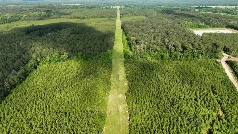 South Mississippi Hunting Paradise for Sale Amite County, MS