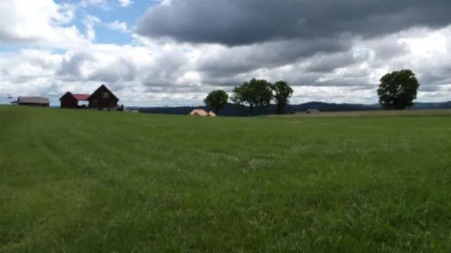 0.51 AC LEVEL LOT IN “THE POINTE ESTATES” ON DALE HOLLOW LAKE