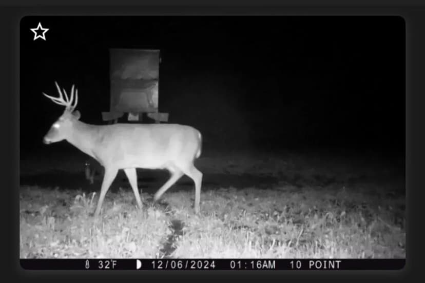 100 Acres of Prime Hunting Habitat