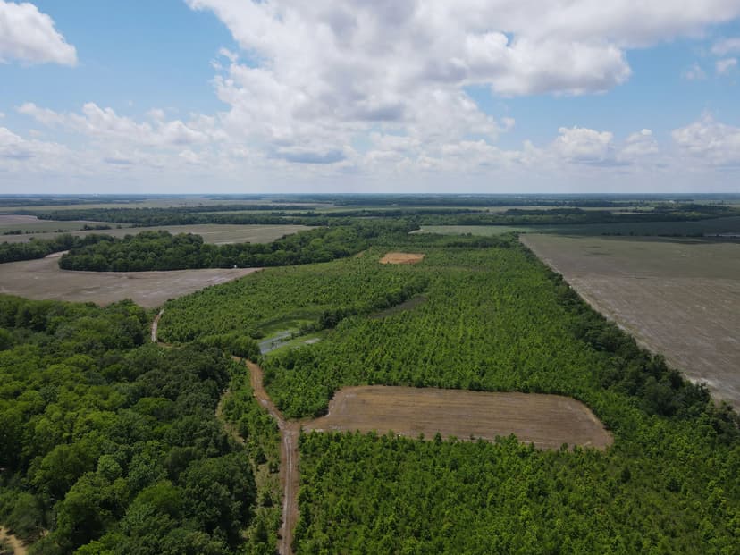 167.3 Acres in Coahoma/Quitman Counties, MS 