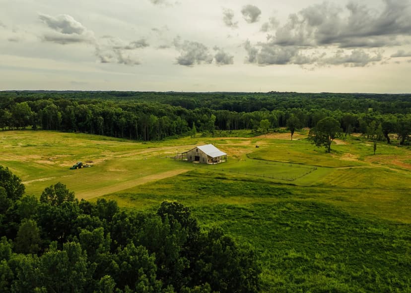 204.9 Acres in Lafayette County, MS