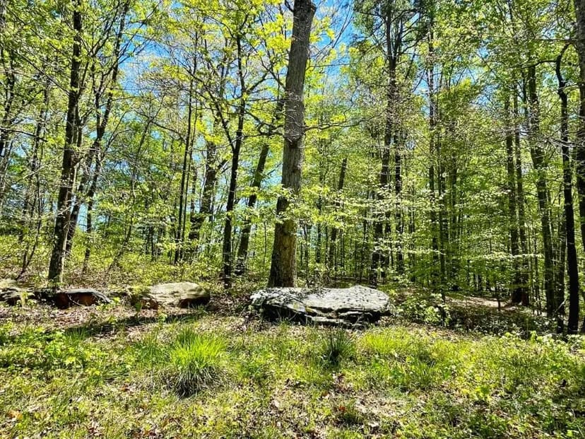 REDUCED! 5808 Hensley Road