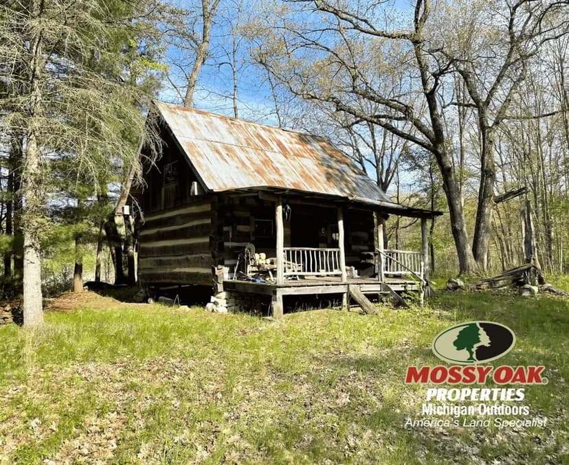 138 +/- Eaton & Calhoun County / Bellevue, MI / Hunting / Recreational / Build Site / Land For Sale