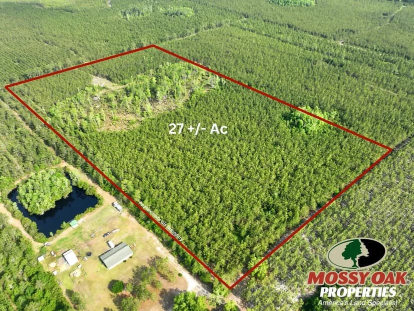 27 +/- Ac Recreational Timberland for Sale in Charlton County, GA