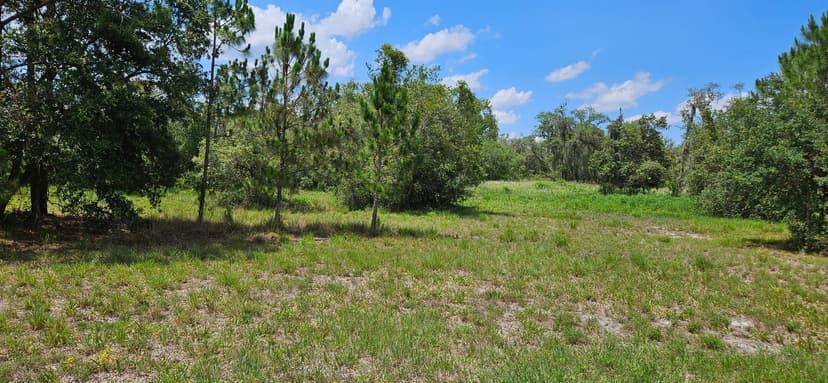 22 Acre Mammoth Grove Road Residential Homesite