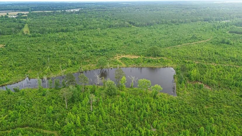 Chickasaw county  rd 166