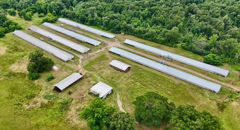6 House Broiler Poultry Farm in Ruston, Louisiana