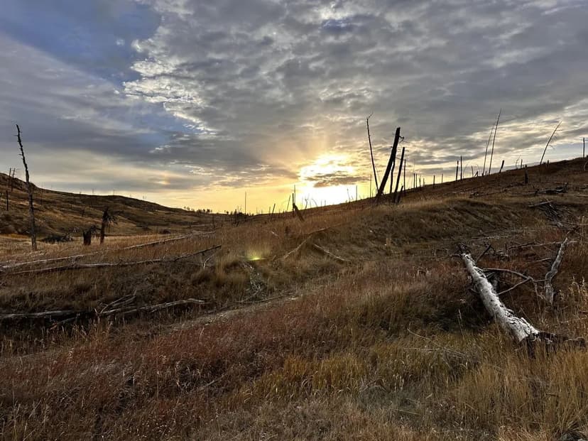 Scenic 20-Acre Montana Property