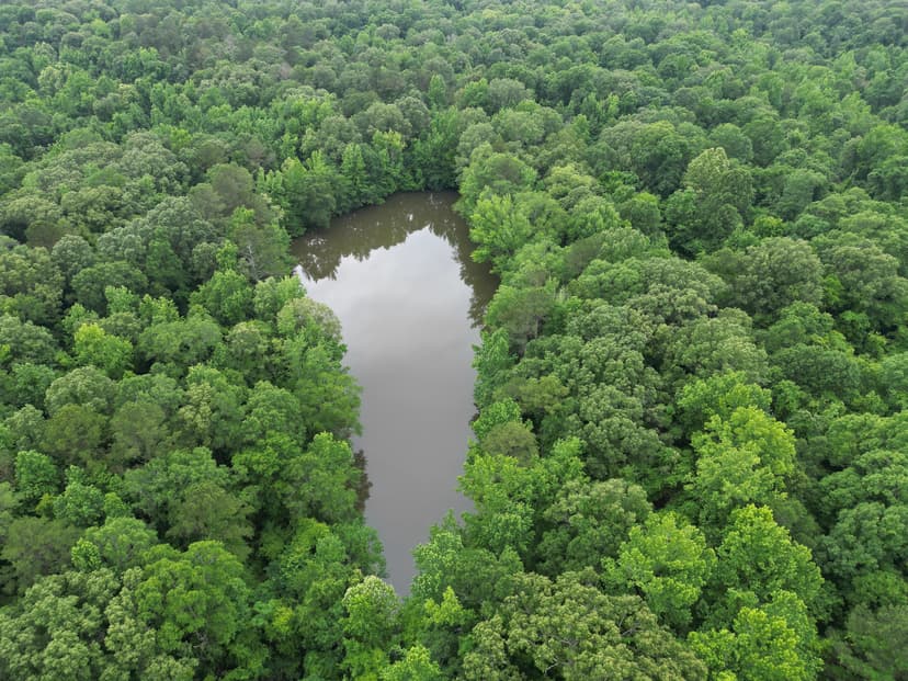 45.21 Acres in Yazoo County, MS