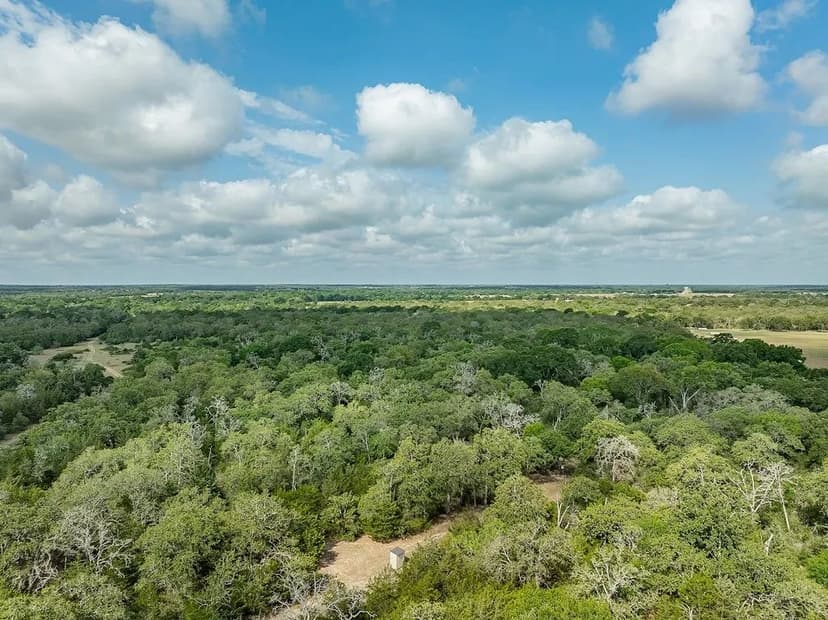 263 Acres | County Road 132, Hallettsville, TX | Lavaca County