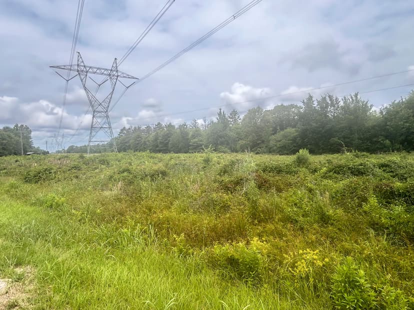 LA - Richland 207 acres +/-