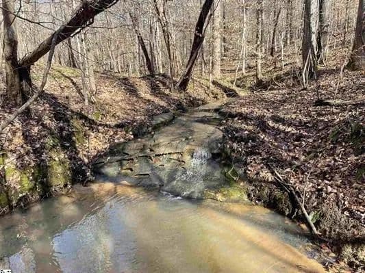 +/- 23.92 Acres – Beardon Hollow – Westminster, SC