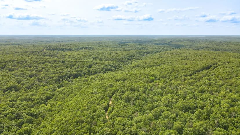 46.65 Acres of Secluded Paradise Perfect for Homestead or Hunting – Laclede County