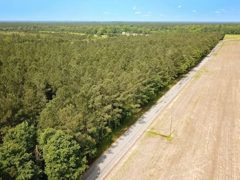 UPDATED!!  38 Acres of Timberland For Sale in Sussex County, VA!