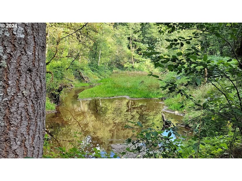 Parcel With Development Potential