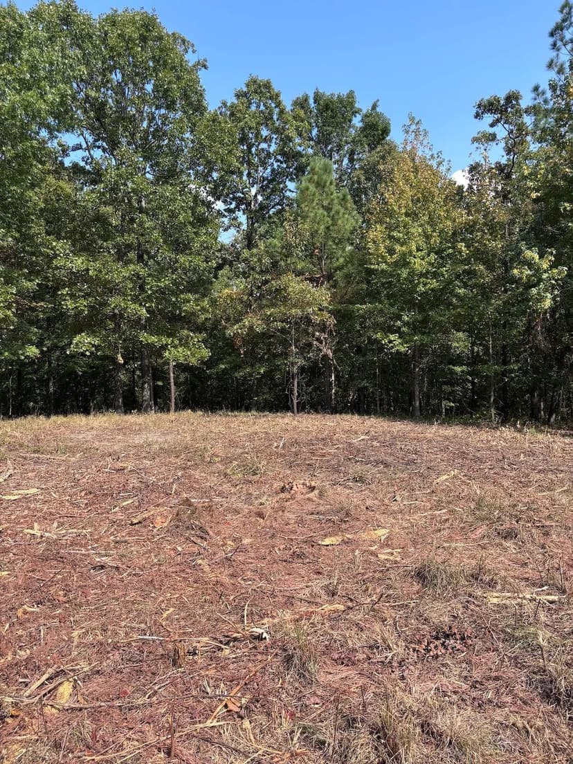 28.48 Acres in Panola County, MS 