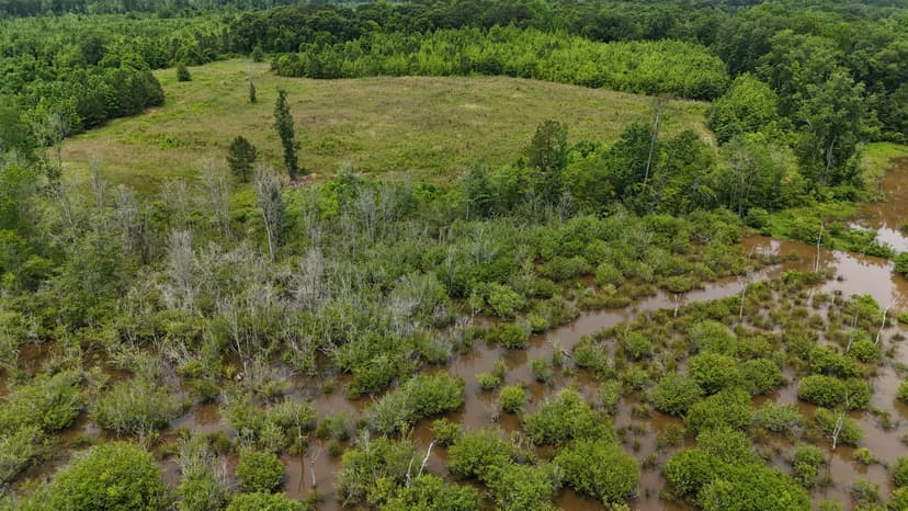 29 Acres in Lamar County, GA 