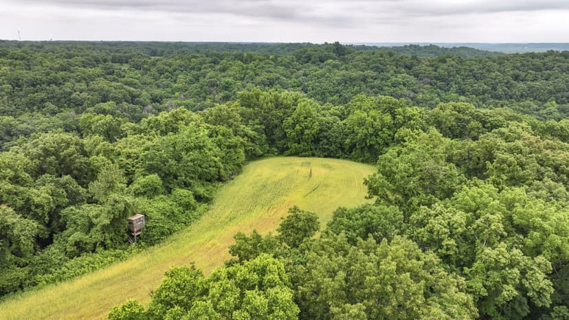 986 Franklin Hill Rd, Batchtown, IL