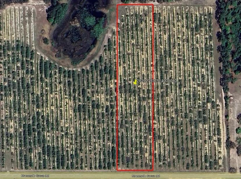 Mammoth Grove Road Lot 8