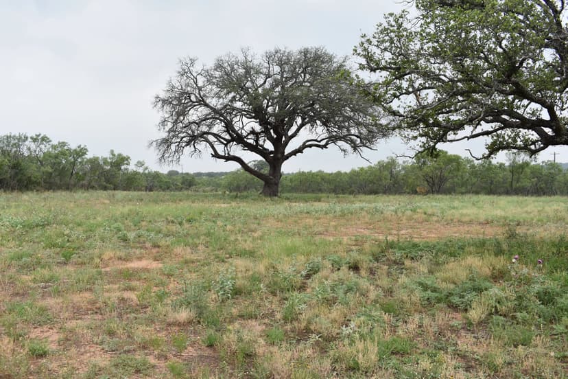 319.89 ACRES KIMBLE COUNTY