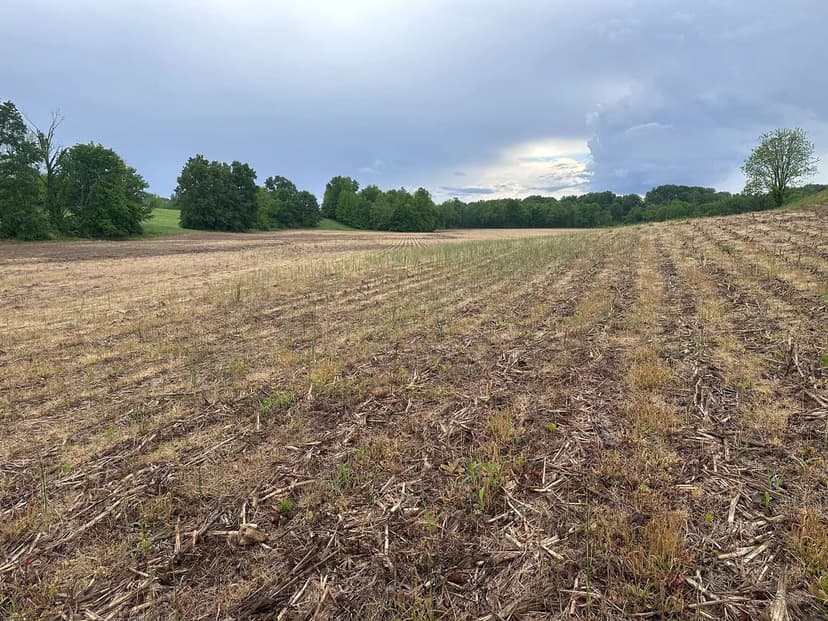 Prime 87± Acre Hunting & Agricultural Haven For Sale – Alexander County