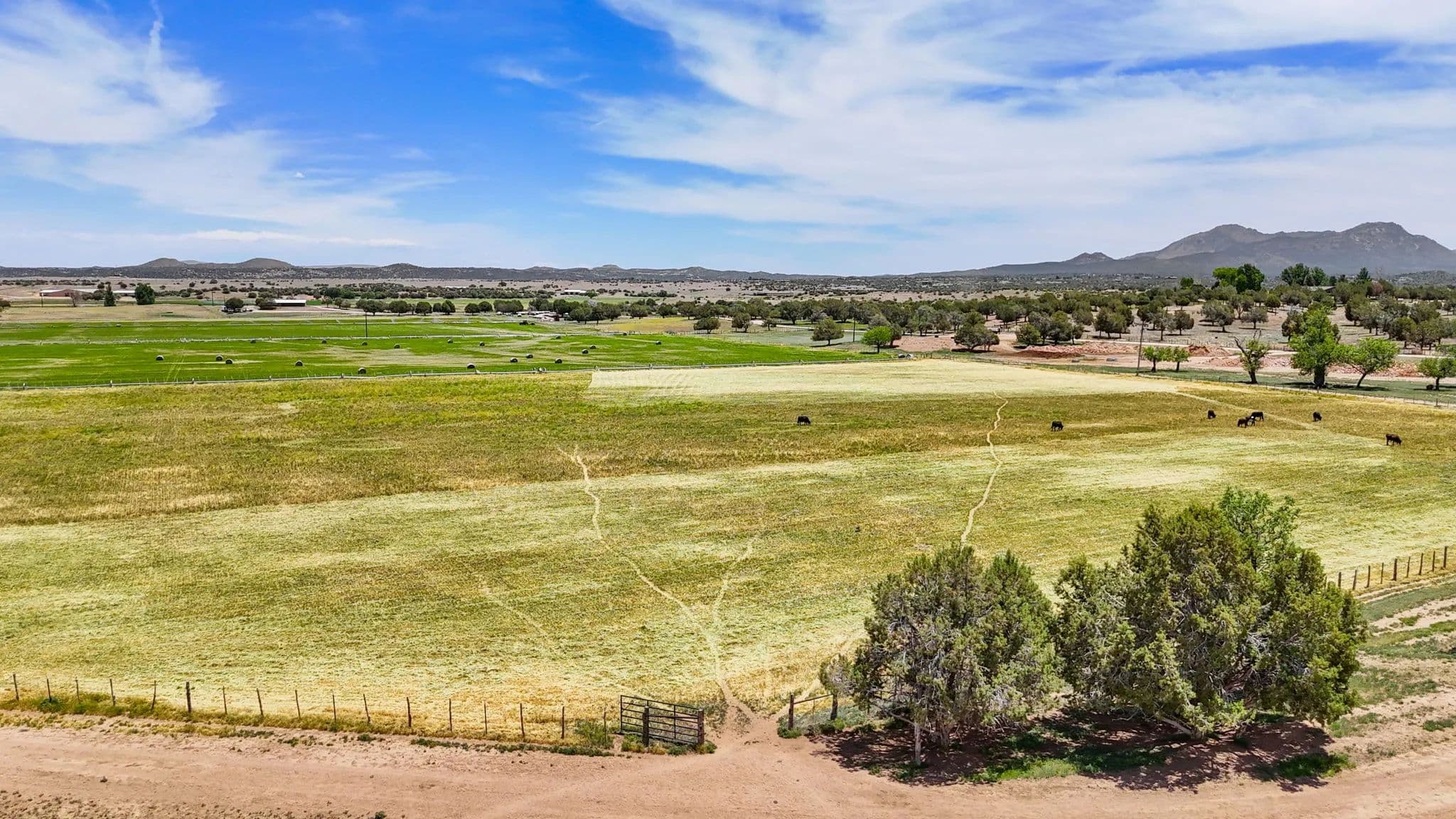 Strictland Wash in Arizona - photo 36