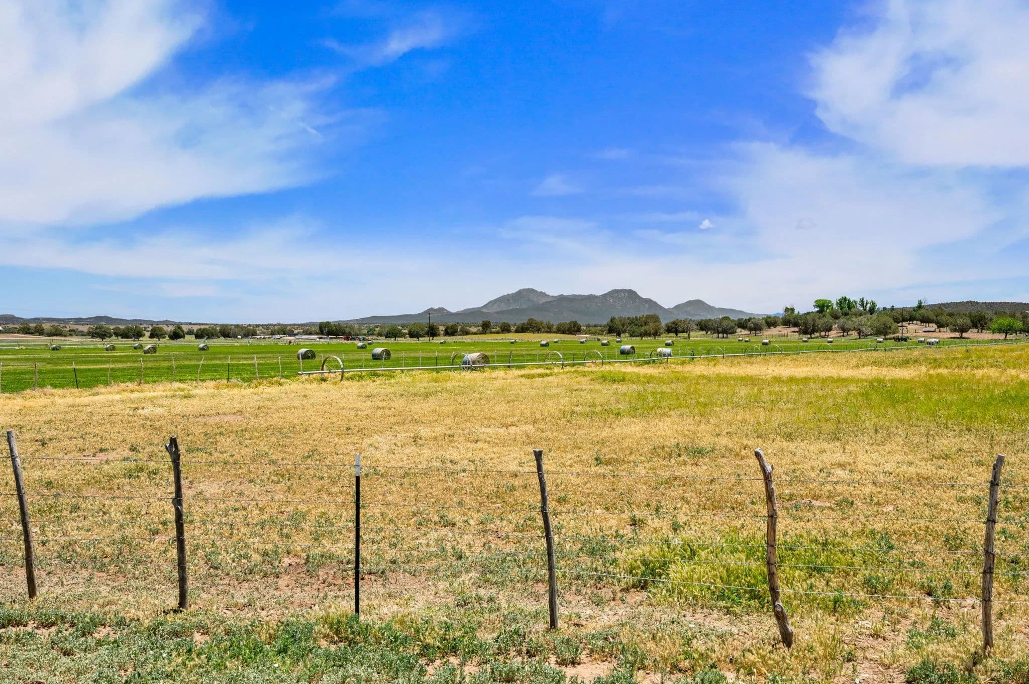 Strictland Wash in Arizona - photo 46