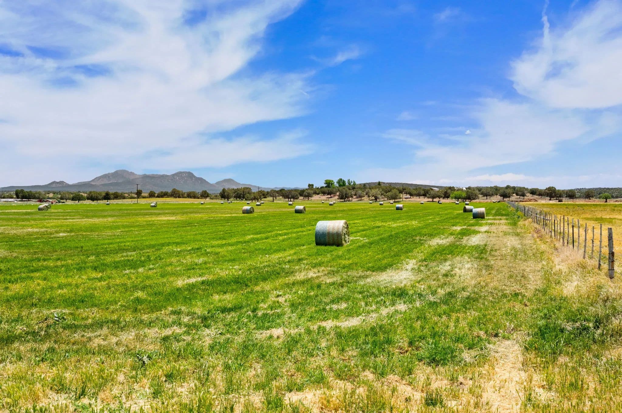 Strictland Wash in Arizona - photo 49