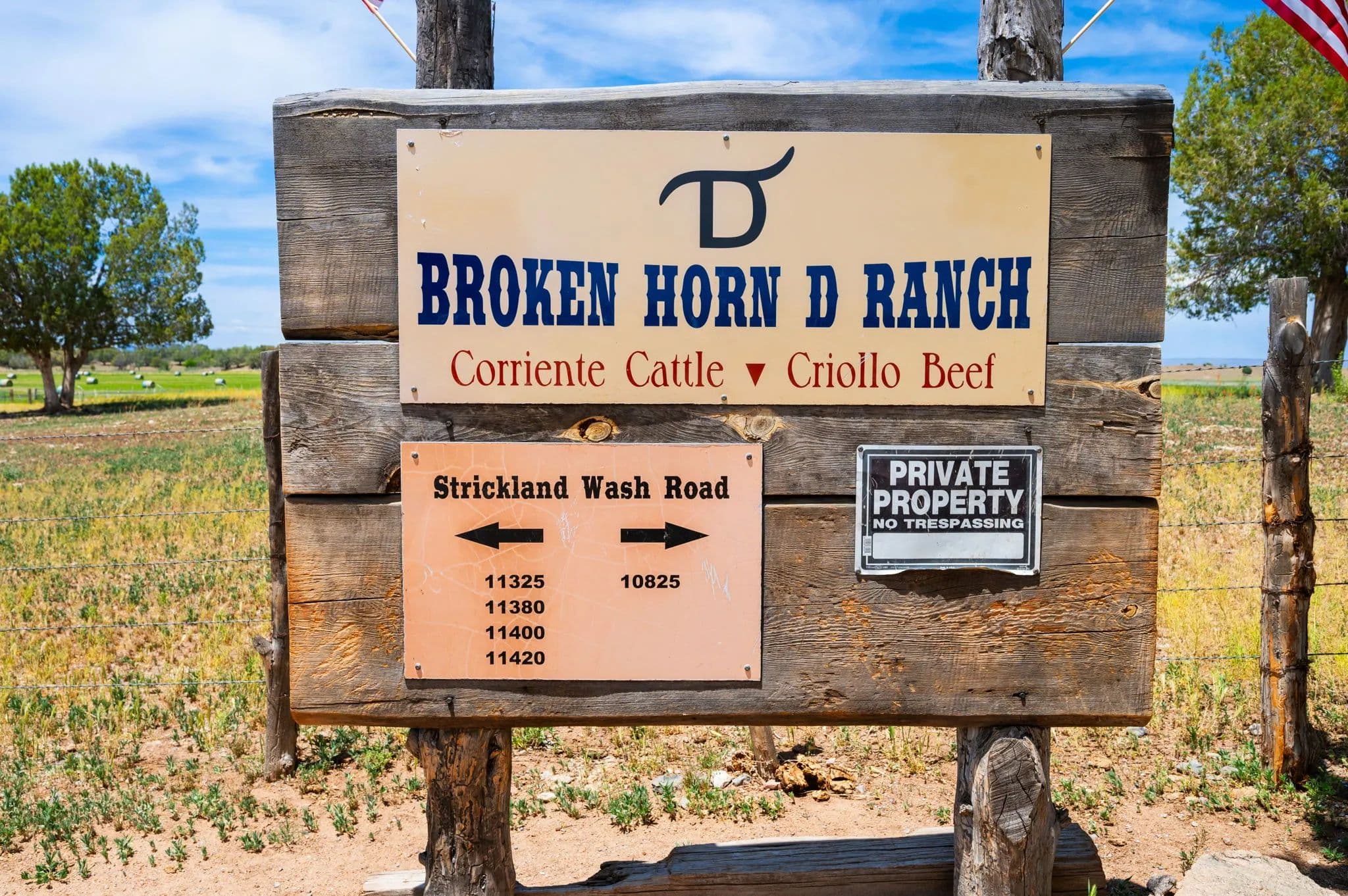 Strictland Wash in Arizona - photo 54