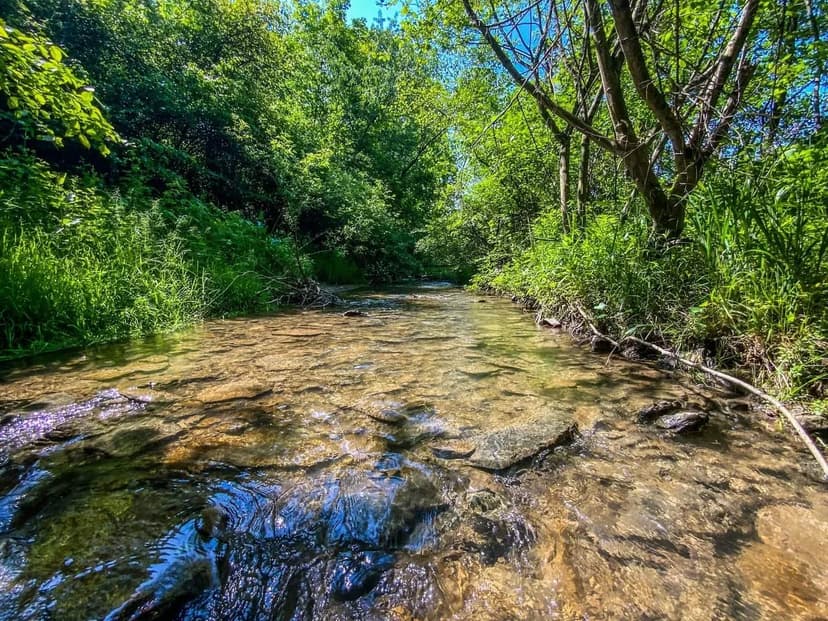 TR 472 - 10 acres - Jefferson County