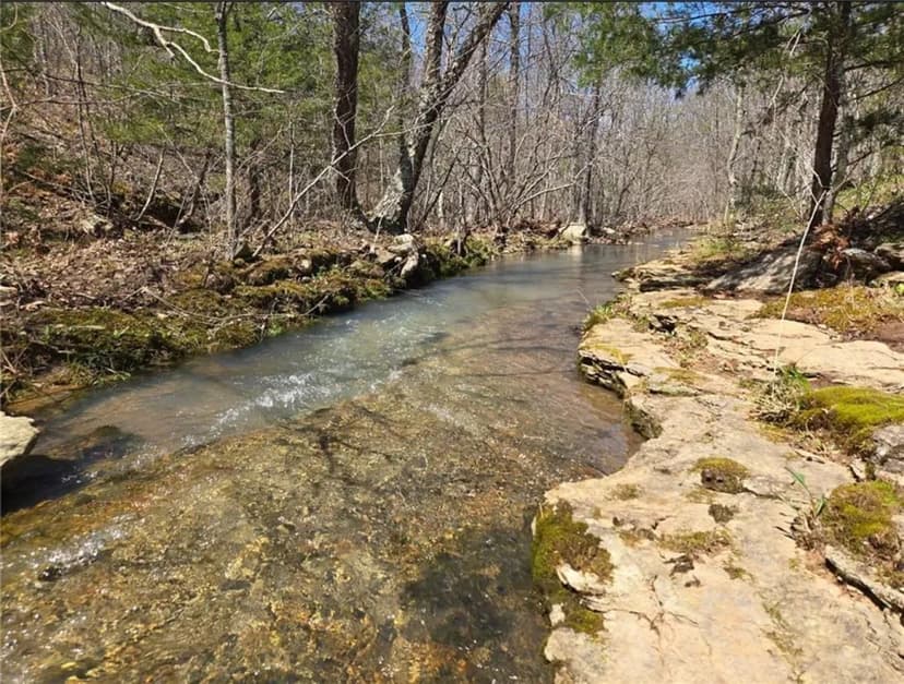 Ozark Mountain Homesteaders Dream - 97 Acres