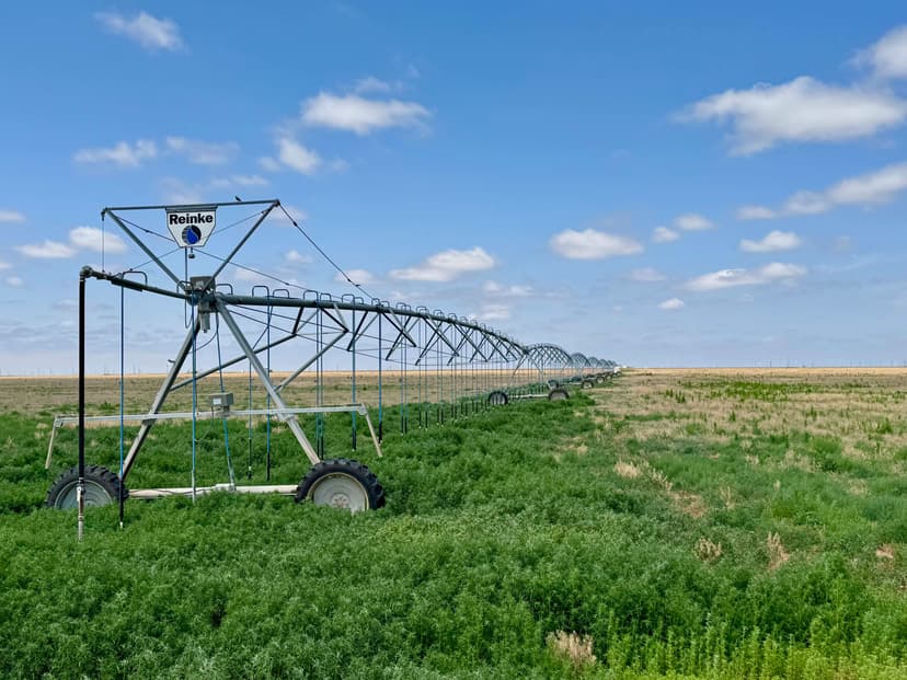 Swisher County Irrigated Farm
