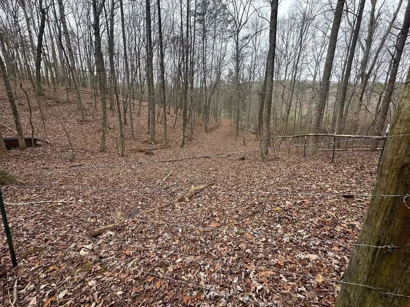 120.62+/-acres Beautiful unrestricted property