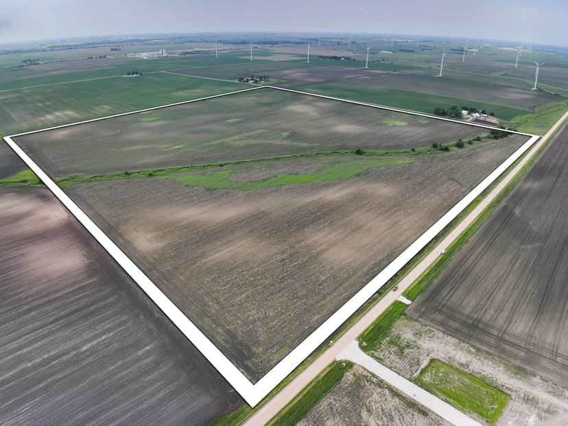 Greene County 160 +/- Acres