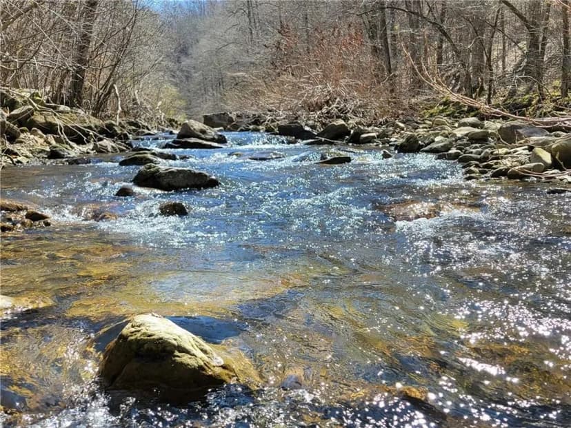 East Fork Little Buffalo River Frontage - 67 AC