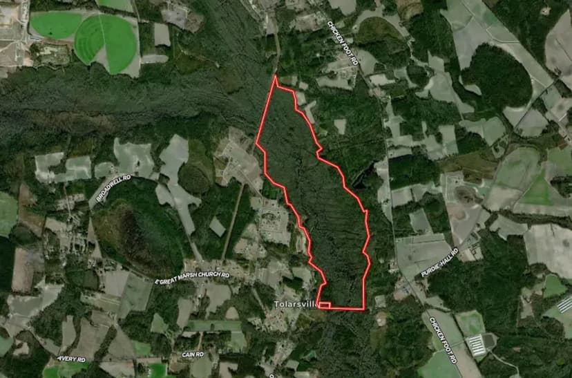 438.97 Acres of Recreational Timberland For Sale in Robeson County, NC!