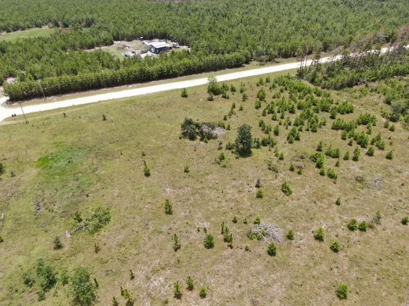 2959 SE Winquepin St