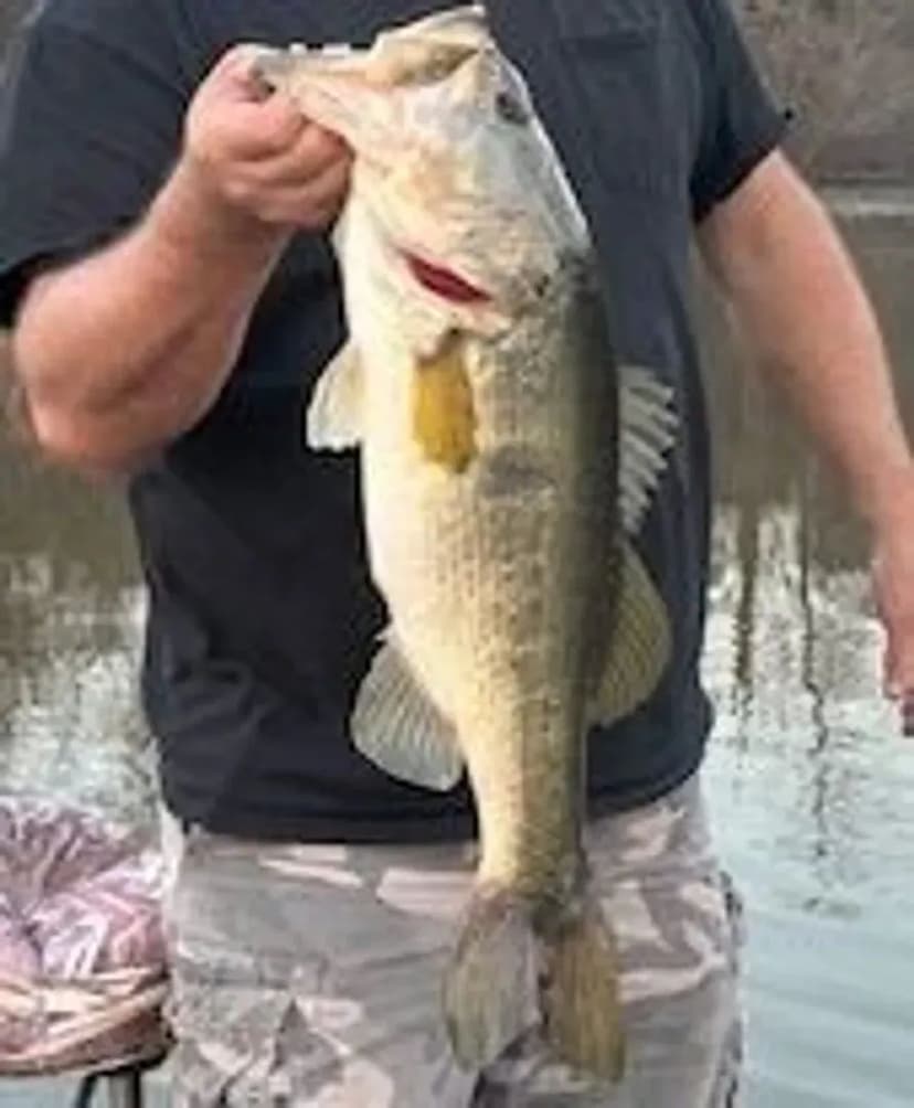 Spring Hill Lakes 3,077 AC- Barbour County, AL