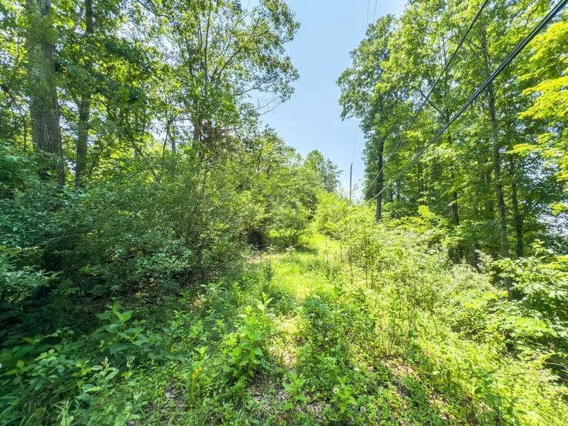 Absolute Auction - 7.1 acres - Kanawha County