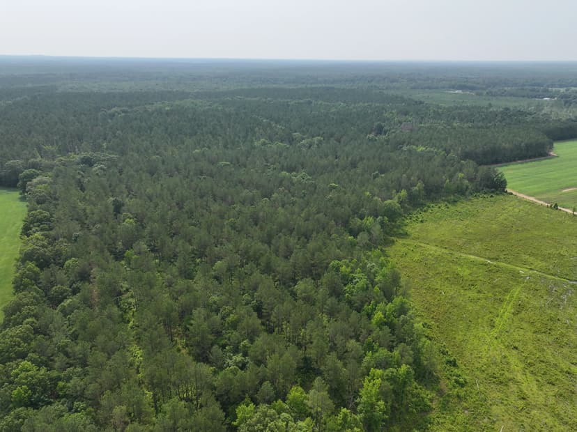 135 Acres in Chickasaw County, MS 