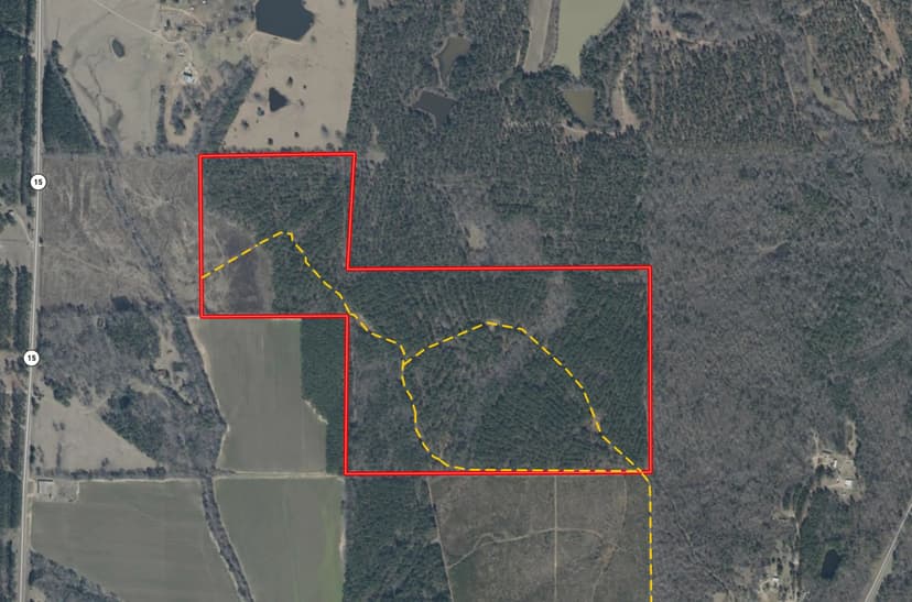 135 Acres in Chickasaw County, MS 