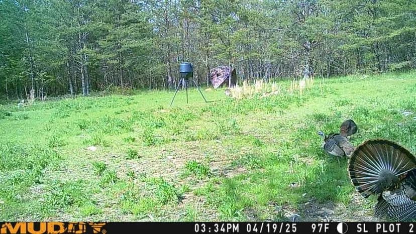 East Tennessee Natural Beauty