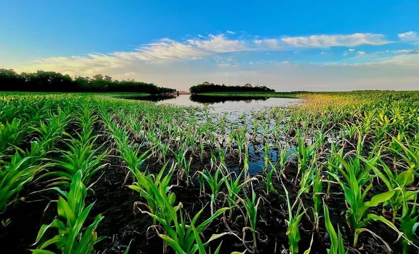 Eastern Stafford Co., KS