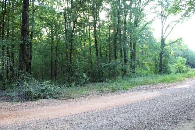 Mallard Drive North Tract