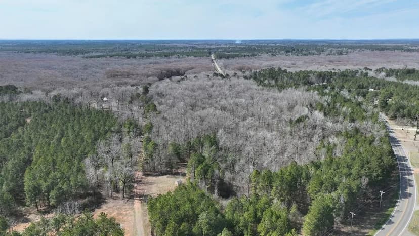 Bodcau Bluffs of East Bossier Parish, LA, 418 +/- acres