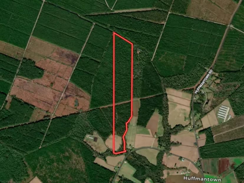 UPDATED!! 96.96 Acres of Unrestricted Rural Agricultural Land For Sale in Onslow County, NC!