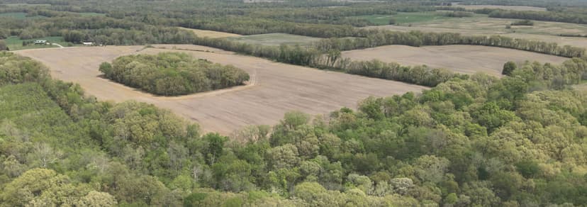 117 Acres of Farmland in Hamilton County, IL