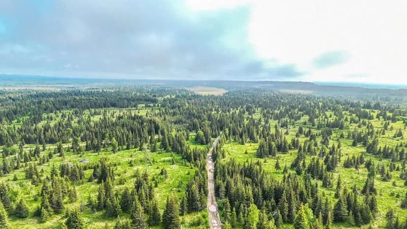 67212 Homestead 40 acres